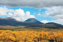 Ozeanien, Neuseeland: Nord- und Sdinsel - Natur hautnah erleben - riro